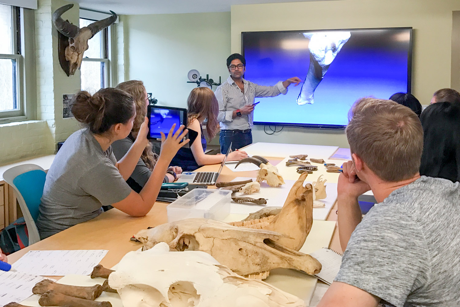 atelier pédagogique sur les os et reconstruction 3D de fente labio-palatine